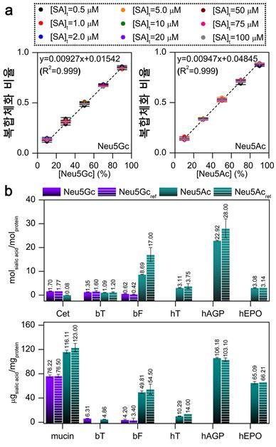 기체상 주인-손님 화학을 이용한 시알산 정량.  (a) 서로 다른 농도를 가진 시알산 혼합액 내 시알산 복합체 비율. 시알산 농도비가 기체상 복합체 비율과 선형 관계를 가지고 있다.  (b) 기체상 주인-손님 화학을 이용한 당단백질 내 시알산 정량. 기존 분석값과 이 연구 전략을 통해 얻은 값이 유사하다. [한국연구재단 제공=연합뉴스]
