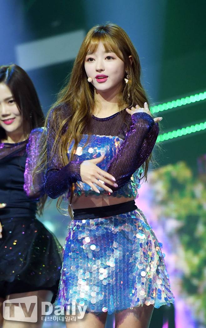 티브이데일리 포토