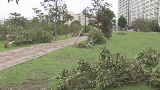 2018년 9월 30일 태풍 ‘짜미’의 영향으로 건물 앞 나무가 통째로 뽑히고 쓰러져 있다. /NHK