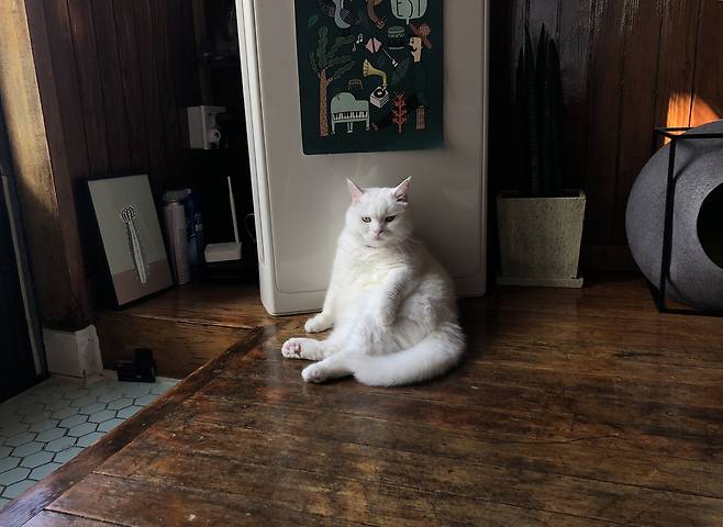 이 자세 무엇? 마주 앉아 있자니 고향 가서 큰아버지 말씀을 듣고 있는 것 같은 기분이 들었다.