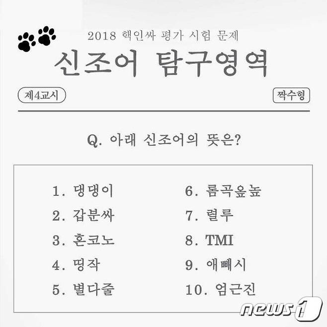 2018년 신조어 테스트(SNS 갈무리)© News1