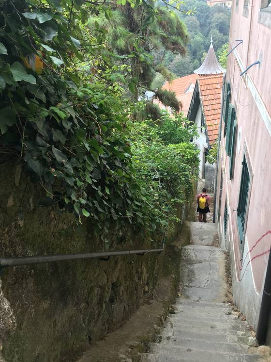 신트라의 골목길에서는 길을 잃어봐도 좋겠다. 아름다운 언덕에서 미로처럼 연결된 산길. [사진 박재희]