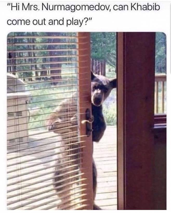 ▲ "하빕, 나랑 놀자" 데이나 화이트 대표가 자신의 트위터에 올린 사진.