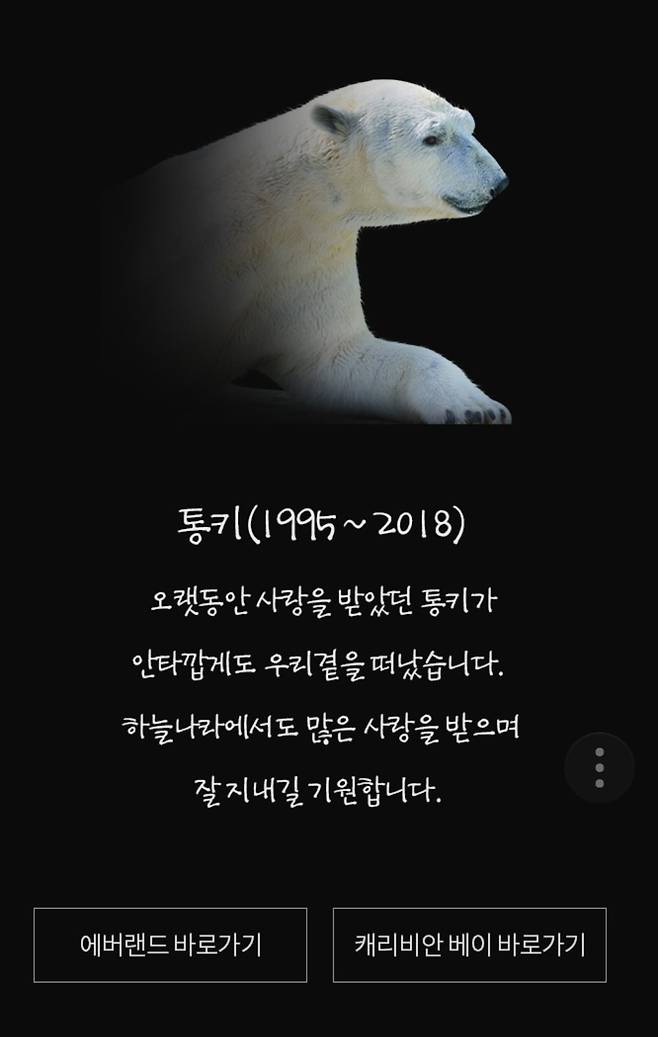 에버랜드는 많은 사랑을 받아온 북극곰 통키(24살·수컷)가 17일 오후 6시께 세상을 떠났다고 18일 밝혔다. 사진은 통키의 죽음을 애도하는 에버랜드 홈페이지. [사진 에버랜드]