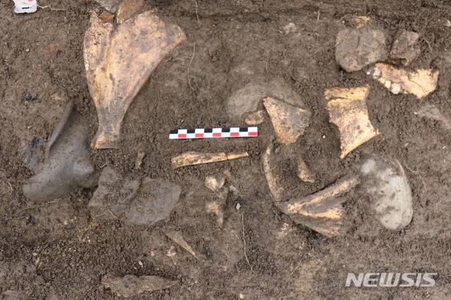 러시아 스타로레첸스코예 평지성 지하식 저장고 내 삼족기와 동물뼈 출토 모습