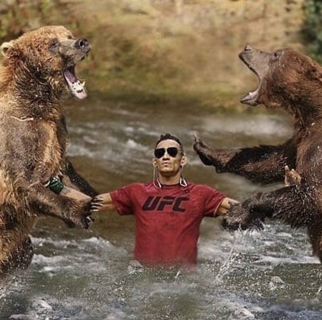 ▲ 토니 퍼거슨은 위대하다. 두 곰의 싸움을 말리는 합성사진을 트위터에 올렸다.