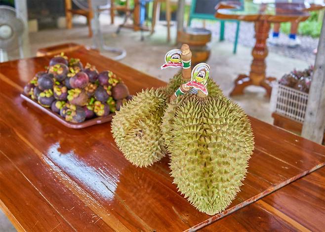 과일의 왕이라 불리는 두리안