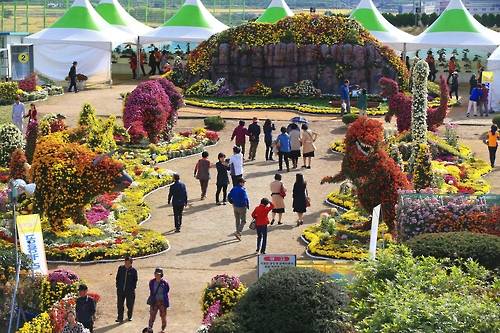 화순 남산공원에서 열린 국화향연 [화순군 제공]