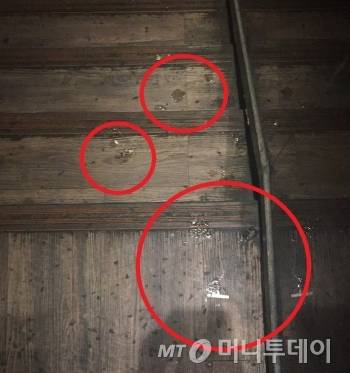 서울시내 한 번화가 건물 계단에 누군가 침을 뱉은 자국이 5~6개 포착됐다./사진=독자제공