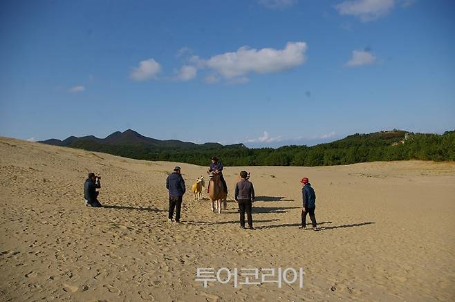 ▲ '한국의 사하라' 옥죽동 사막
