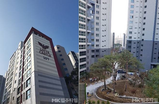 단지 모습과 조경 공사 현장