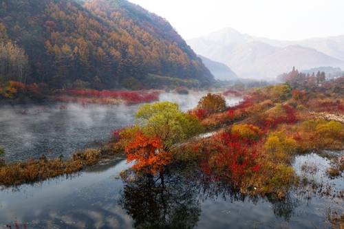 장관을 이룬 진안 주천생태공원 (진안=연합뉴스) 이윤승 기자 = 전북 진안군 주천면 신양리 주천 생태공원일대가 운해와 물안개, 단풍으로 절경이다.