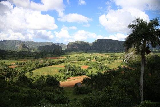 느긋하게 휴식을 즐기기 좋은 비냘레스의 푸근한 풍경. [사진 김춘애]