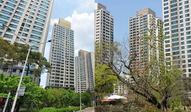 [사진 제공 : 황금(반포래미안점)공인중개사사무소]