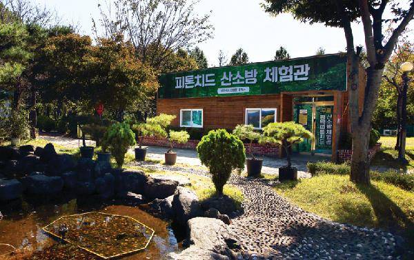 [월간산]편백나무 피톤치드 산소방 무료 체험관.