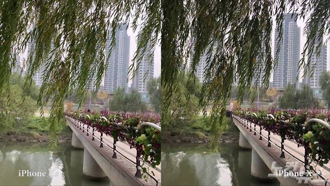 왼쪽은 아이폰 Xs, 오른쪽은 아이폰 X로 찍은 사진 (사진=김연지 기자)