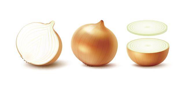 양파는 중심에서 단면이 원형으로 켜를 이루는 채소다. 양파를 왼손으로 잡고 수직으로 세워 윗동과 아랫동을 썰어낸 뒤 손질한다. 게티이미지뱅크.