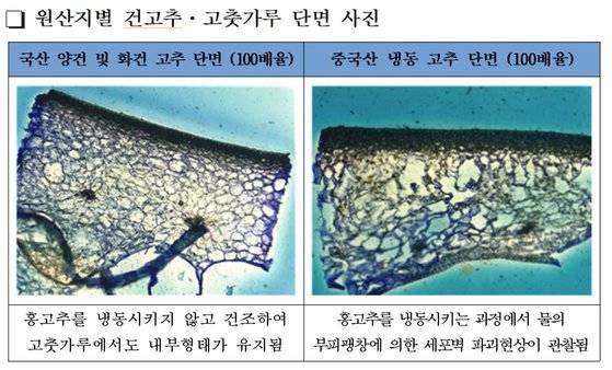 광학현미경을 통해 본 중국산 냉동고추로 만든 고춧가루와 국산 건고추로 만든 고춧가루의 세포벽 모습. [사진 국립농산물품질관리원 전남지원]