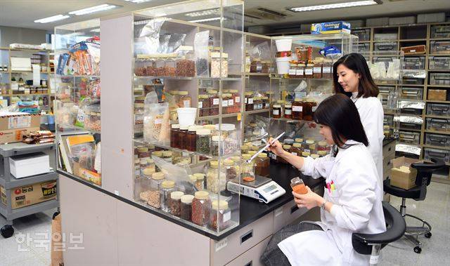 서울 동작구 농심 본사에 있는 연구소에서 연구원들이 각종 채소와 육류, 해산물을 건조시켜 가루로 만든 라면 수프 재료들을 살펴보고 있다. 신상순 선임기자