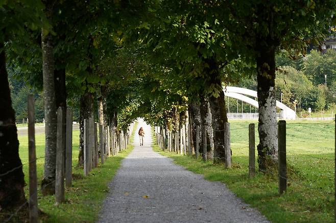 티틀리스산 바로 아랫 동네인 엥겔베르크의 한적한 오솔길