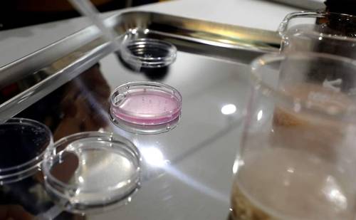 아질산나트륨 검출 시험에 직접 참여해 봤다. [성연재 기자]