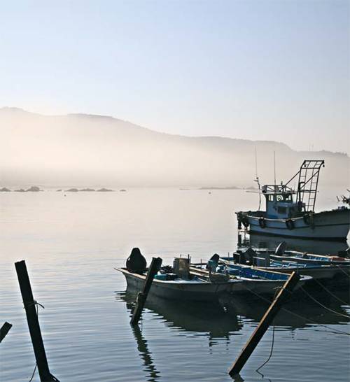 백령도의 인상적인 아침 풍경. Go On 김관수 편집장은 해무가 낀 백령도를 극찬했다. [사진제공 = 김관수]