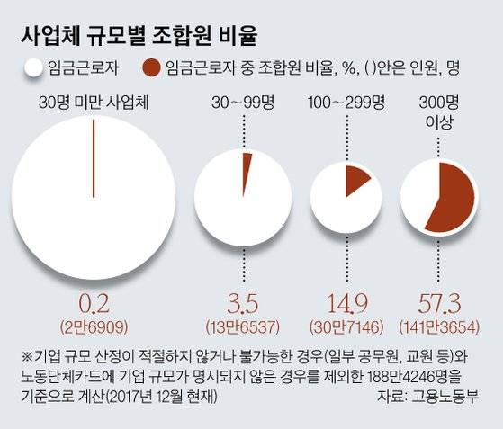 사업체 규모별 조합원 비율 [그래픽=김영옥 기자]