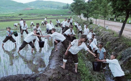 가뭄, 홍수 등 재해가 닥치면 군인뿐 아니라 학생들까지 구호 현장에 동원된다. 이는 북한 학생들이 학업에 열중할 수 없는 폐해를 낳기도 한다. / 사진:연합뉴스