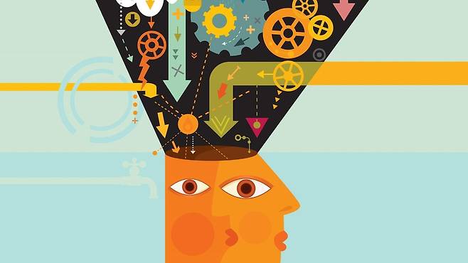 인간의 뇌는 놀라운 양의 정보를 담을 수 있다