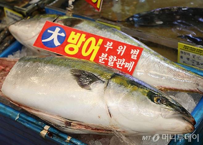 방어/사진=머니투데이