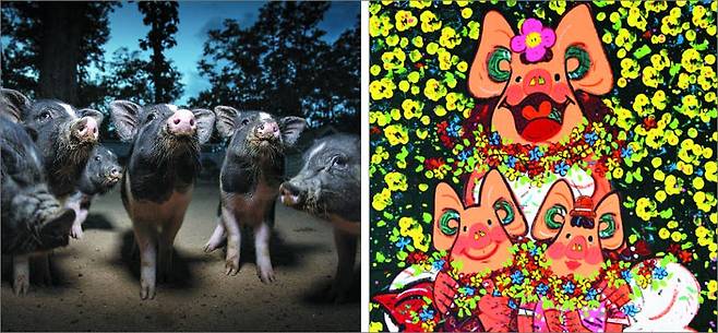 사진가 박찬원씨의‘문화원 돼지’(왼쪽)와 화가 한상윤씨의‘사랑하는 내 새끼들’. 돼지 특유의 귀엽고 푸근한 표정이 새해의 온기를 기원하고 있다. /금보성아트센터·은암미술관