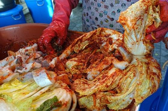 절인 배추에 양념을 바르고 줄기 사이에 양념하지 않은 명태 살을 5~6점씩 끼워 넣는다.