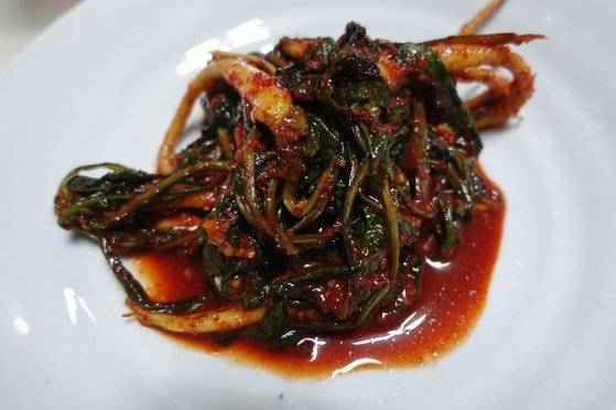 박광희 김치명인의 특기인 고들빼기김치.