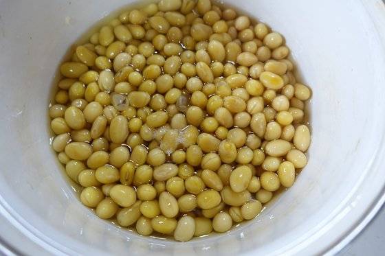 김치에 흰콩을 살짝 데쳐서 갈아 넣는다. 김치가 시는 속도를 지연시키는 작용을 한다.