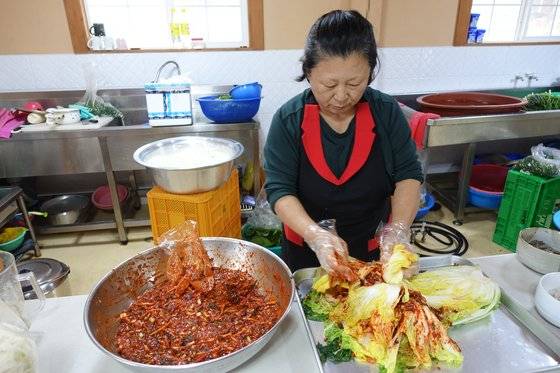 김칫소를 절인 배추에 버무리는 박광희 명인. 줄기가 두꺼운 겨울 김장은 줄기 앞뒤에 양념을 다 바르고, 여름 배추에는 안쪽만 바른다.