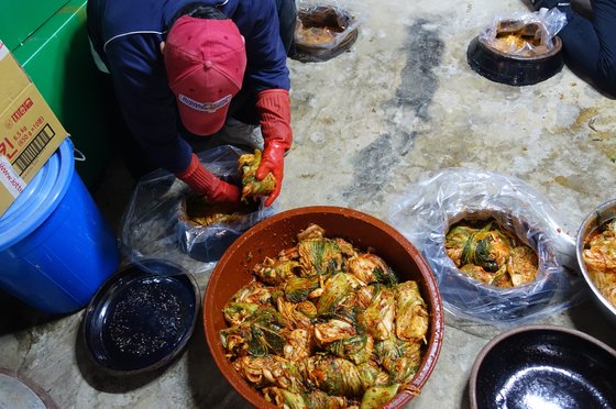 완성된 배추김치는 정관 스님의 김치 곳간으로 옮겨 땅에 묻은 6개의 독에 저장한다. 요리 배우는 젊은이가 김치를 쟁이고 있다.