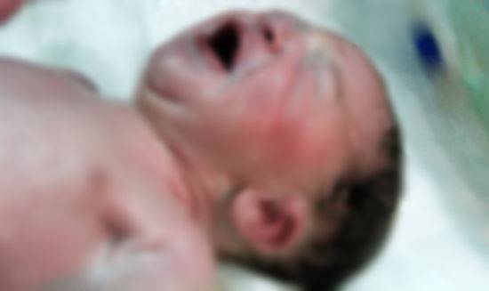 이 사진은 기사와 관련이 없습니다. 게티이미지뱅크