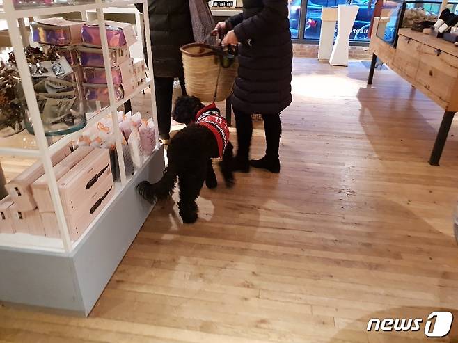 뉴욕 첼시 마켓내 스탠다드 푸들인 반려견과 쇼핑하는 견주.© News1 김연수 기자