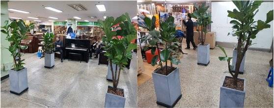 지난해 상가 2층에만 3곳의 공실이 생겼다. 빈자리는 화분을 놓아 임시로 꾸며놓았다. [임성빈 기자]