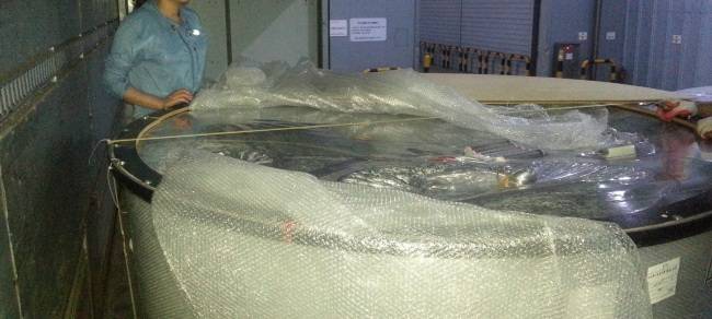 물고기 수입시 이용하는 수조. 운송 담당자들은 운송 전까지 수조 내 수온과 산소 농도 등을 지속적으로 체크합니다.