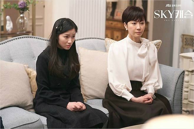 (사진=스카이캐슬 홈페이지)