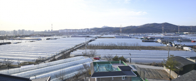 남양주 왕숙지구 내 신월리 전경./서울경제DB