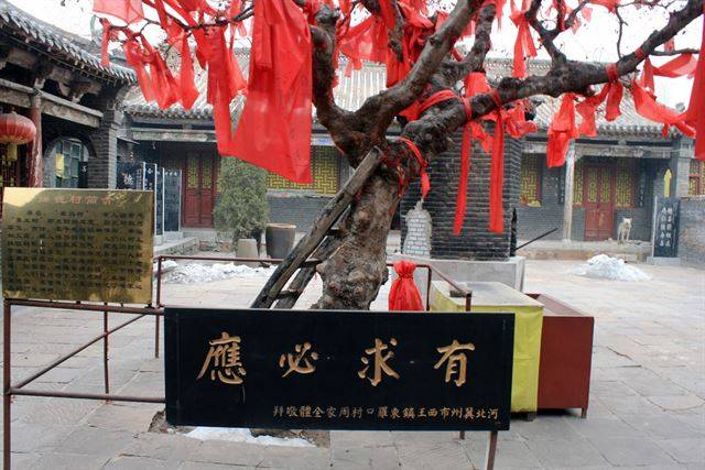 옥황정 마당의 ‘요구대로 다 응답하는’ 요전수