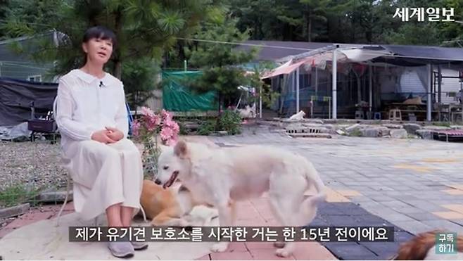 사진=세계일보 인터뷰 장면 갈무리, 유튜브