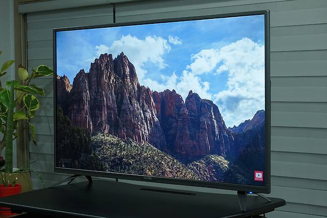 군더더기 없는 깔끔한 외모가 돋보인다.