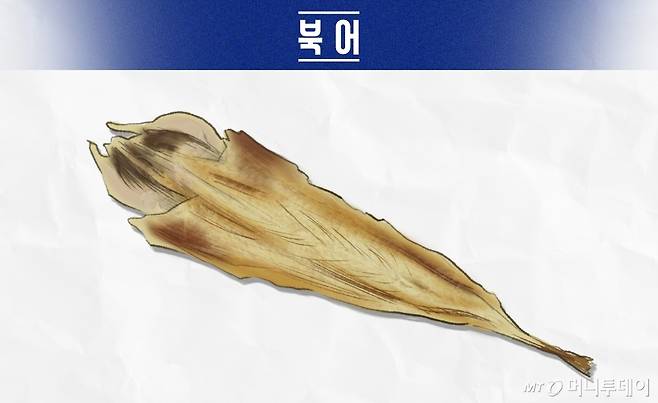북어/이미지=머니투데이