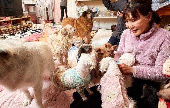 이 씨에게 받은 사랑 덕에 반려견들은 사람에게 마음을 활짝 열었다. 물론 아직 사람을 보면 두려워 구석에 숨는 개들도 있다.
