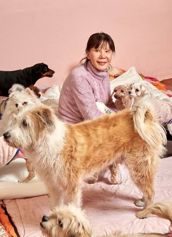 이 씨의 충견 윌리엄은 항상 그의 곁을 지킨다. 다른 대형견 여우와 달리 다른 반려견들도 돌보고 소외된 개에게는 다가가 적응할 수 있게 돕는다.