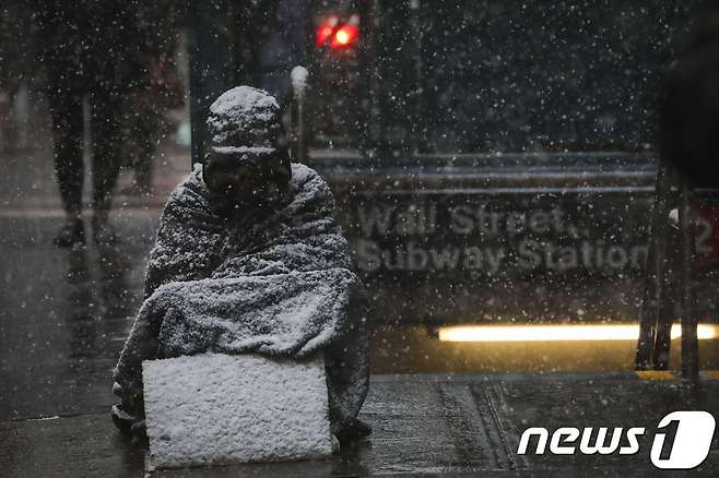 30일(현지시간) 미국 뉴욕 금융지구에서 눈을 맞고 있는 홈스리. 뉴욕도 이날 북극한파 영향권에 들며 많은 눈이 내렸다. © AFP=뉴스1