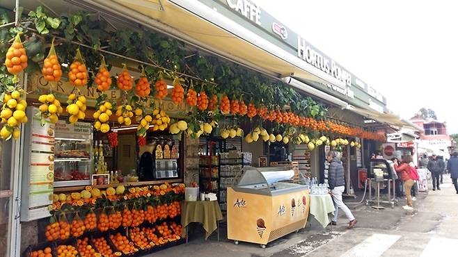 폼페이의 거리에서 오렌지와 레몬을 주렁주렁 매달아놓은 과일가게를 쉽게 만날 수 있다. 햇볕이 좋은 곳에 왔다는 느낌이 든다.